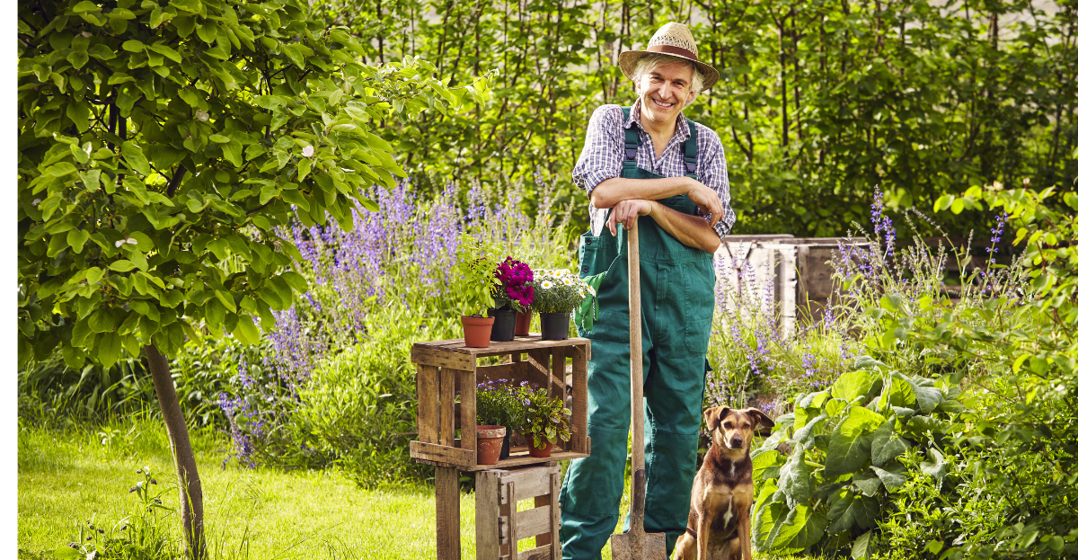 Physical health of gardening